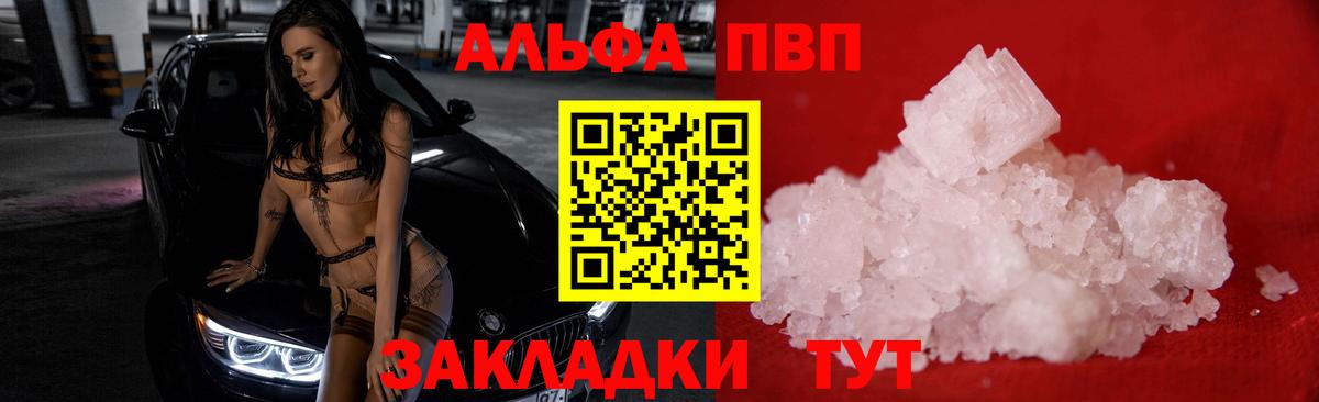 Альфа ПВП СК КРИС Сочи
