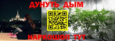 молекула духа Пенза