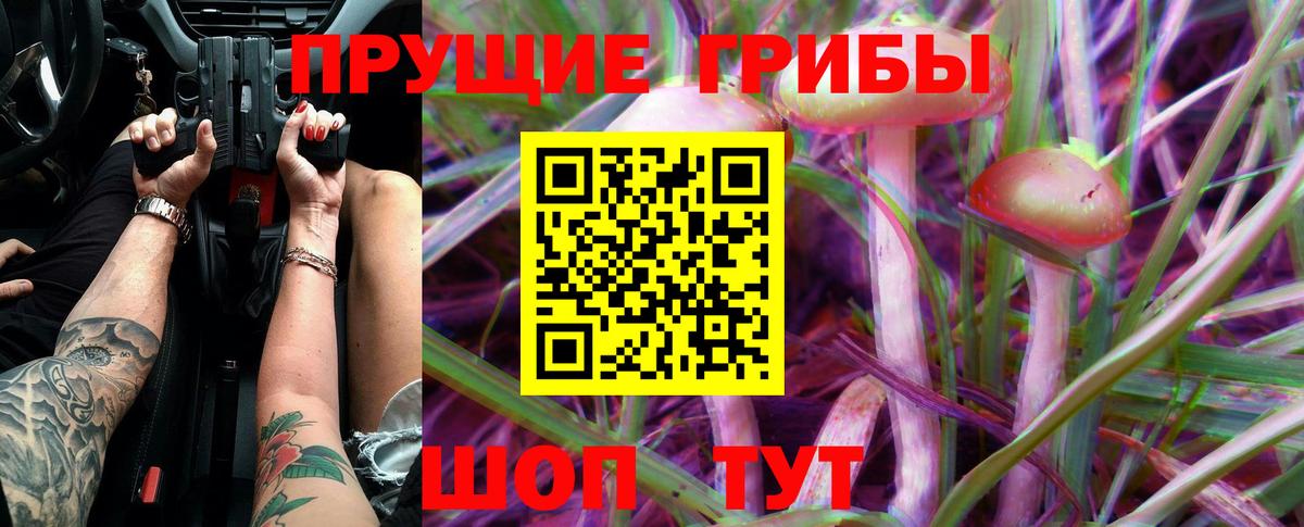 Псилоцибиновые грибы MAGIC MUSHROOMS Сочи